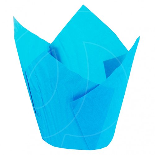 Капсула тюльпан Голубая D50 H80 мм 1 шт TULIP Bl 50*80 E   716050PBL_R, 7 ₽ Капсула тюльпан Голубая D50 H80 мм 1 шт TULIP Bl 50*80 E   716050PBL_R