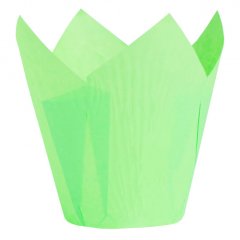 Капсула тюльпан Зелёная D50 H80 мм 1 шт TULIP G 50*80 E    716050PV_R, б-100, 7 ₽ Капсула тюльпан Зелёная D50 H80 мм 1 шт TULIP G 50*80 E    716050PV_R, б-100