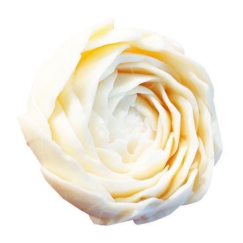 Молд силиконовый 3D "Лютик ранункулюс" 01666, 1199 ₽ Молд силиконовый 3D "Лютик ранункулюс" 01666