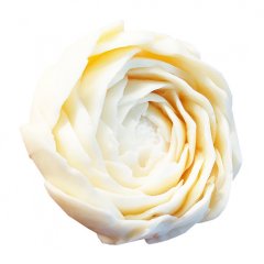 Молд силиконовый 3D "Лютик ранункулюс" 01666, 1199 ₽ Молд силиконовый 3D "Лютик ранункулюс" 01666