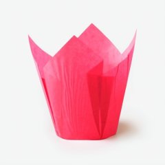 Капсула тюльпан Розовая D50 H80 мм 1 шт TULIP P 50*80 E       716050PP_R; Б-104, 7 ₽ Капсула тюльпан Розовая D50 H80 мм 1 шт TULIP P 50*80 E       716050PP_R; Б-104